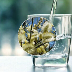 Untitled-1-Re98خcovered