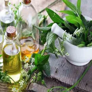 Untitled-1-Recov87ered