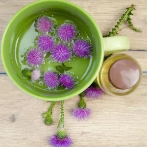 Untitled-1-Recovered