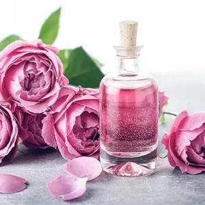 Untitled-1-Recovered