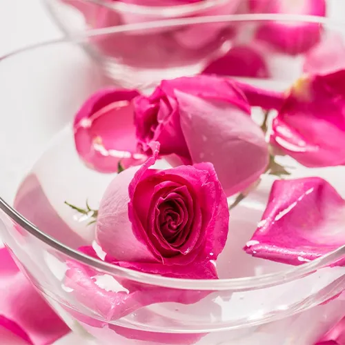 گلاب برای یبوست
