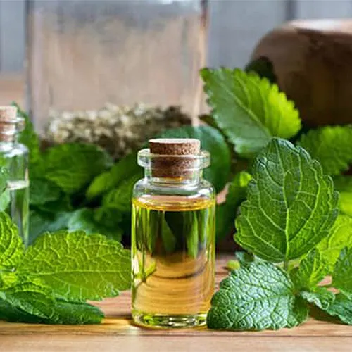 عرق بادرنجوبه چه خواصی دارد