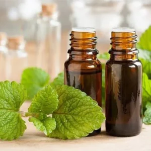 Untitled-1-Recovered-Recovered-Recovنمered