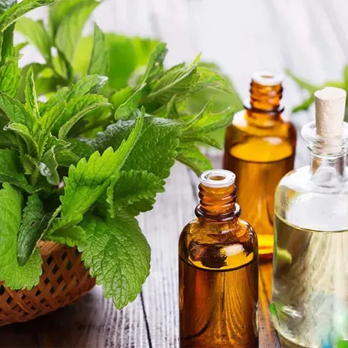 عرق بادرنجوبه برای چاقی