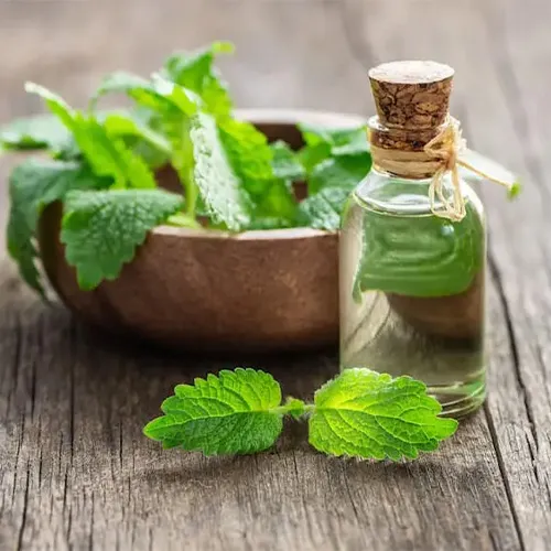 عرق بادرنجوبه برای معده
