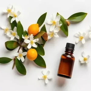 Untitled-1-Recovered-Recoverمنed