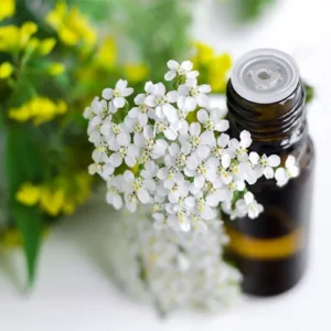 Untitled-1-Recoپپvered