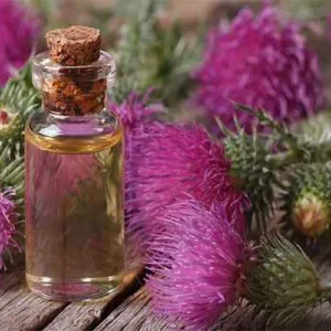 Untitled-1-Recذذvered