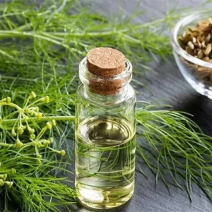 Untitled-2-Recovered-Recovered-Recovered-Recovered-Recovered-Recovered-Recovered-Recovered-Recovered-Recovered-Recovered-Recovered-11Recovered-Recovered