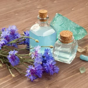 Untitled-2-Recovered-Recovered-Recovered-Recovered-Recovered-Recovered-Recovered-Recovered-Recovered-Recovered-Recovered-Recovered-R7ecovered-Recovered