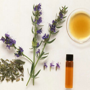 Untitled-2-Recovered-Recovered-Recovered-Recovered-Recovered-Recovered-Recovered-Recovered-Recovered-Recovered-Recovered-Recovered-Recovered-0Recovered