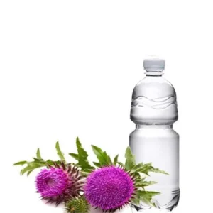 Untitled-2-Recovered-Recovered-Recovered-Recovered-Recovered-Recovered-Recovered-Recovered-Recovered-Recovered-Recovered-Recovered-Recovered-Recovered