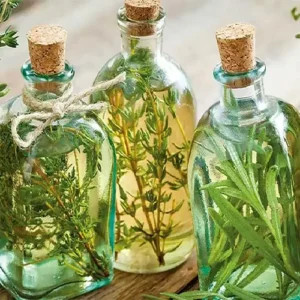 Untitled-2-Recovered-Recovered-Recovered-Recovered-Recovered-Recovered-Recovered-Recovered-Recovered-Recovered-Recovered-Recovered-Recovered-Recovered