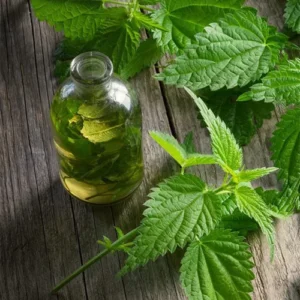 Untitled-2-Recovered-Recovered-Recovered-Recovered-Recovered-Recovered-Recovered-Recovered-Recovered-Recovered-Recovered-Recovered-Recovered-Recovered