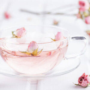 Untitled-2-Recovered-Recovered-Recovered-Recovered-Recovered-Recovered-Recovered-Recovered-Recovered-Recovered-Recovered-Recovered-Recovered-Recovered