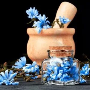 Untitled-2-Recovered-Recovered-Recovered-Recovered-Recovered-Recovered-Recovered-Recovered-Recovered-Recovered-Recovered-Recovered-Recovered-Recovered