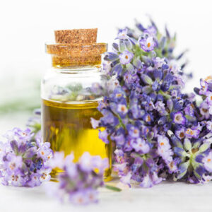 Untitled-2-Recovered-Recovered-Recovered-Recovered-Recovered-Recovered-Recovered-Recovered-Recovered-Recovered-Recovered-Recovered-Recovered-Recovهخجچered