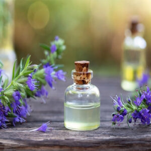 Untitled-2-Recovered-Recovered-Recovered-Recovered-Recovered-Recovered-Recovered-Recovered-Recovered-Recovered-Recovered-Recovered-Recovered-Recoلبvered