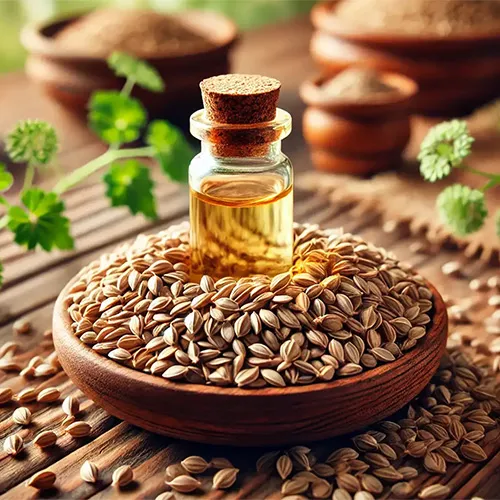 Untitled-2-Recovered-Recovered-Recovered-Recovered-Recovered-Recovered-Recovered-Recovered-Recovered-Recovered-Recovered-Recovered-Recovered-Recخهعوovered