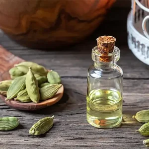 Untitled-2-Recovered-Recovered-Recovered-Recovered-Recovered-Recovered-Recovered-Recovered-Recovered-Recovered-Recovered-Recovered-Rحecovered-Recovered