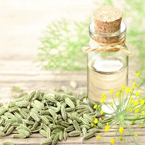 عرق رازیانه برای شیردهی