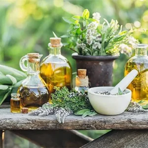 Untitled-2-Recovered-Recovered-Recovered-Recovered-Recovered-Recovered-Recovered-Recovered-Recovered-Recovered-Recovered-Recoغvered-Recovered-Recovered