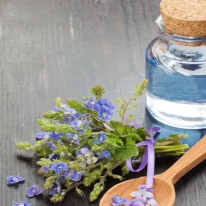 Untitled-2-Recovered-Recovered-Recovered-Recovered-Recovered-Recovered-Recovered-Recovered-Recovered-Recovered-Recovered-Recععovered-Recovered-Recovered