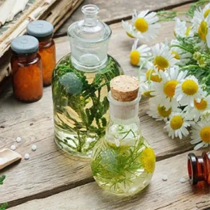 Untitled-2-Recovered-Recovered-Recovered-Recovered-Recovered-Recovered-Recovered-Recovered-Recovered-Recovered-Recovered-Red-Recovered-Recovered