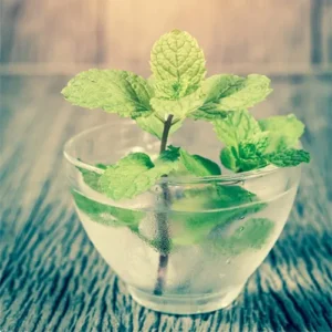 Untitled-2-Recovered-Recovered-Recovered-Recovered-Recovered-Recovered-Recovered-Recovered-Recovered-Recovered-Recovered-Rعecovered-Recovered-Recovered