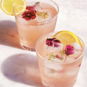 Untitled-2-Recovered-Recovered-Recovered-Recovered-Recovered-Recovered-Recovered-Recovered-Recovered-Recovered-Recovered-ههخRecovered-Recovered-Recovered