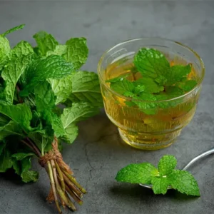 Untitled-2-Recovered-Recovered-Recovered-Recovered-Recovered-Recovered-Recovered-Recovered-Recovered-Recovered-Recovereحd-Recovered-Recovered-Recovered