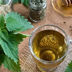 Untitled-2-Recovered-Recovered-Recovered-Recovered-Recovered-Recovered-Recovered-Recovered-Recovered-Recovered-Recoveششred-Recovered-Recovered-Recovered