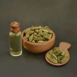 Untitled-2-Recovered-Recovered-Recovered-Recovered-Recovered-Recovered-Recovered-Recovered-Recovered-Recovered-Recovvered-Recovered-Recovered