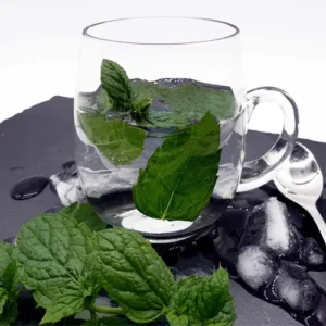 Untitled-2-Recovered-Recovered-Recovered-Recovered-Recovered-Recovered-Recovered-Recovered-Recovered-Recovered-Recovزززered-Recovered-Recovered-Recovered