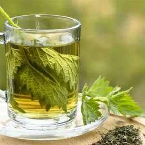 Untitled-2-Recovered-Recovered-Recovered-Recovered-Recovered-Recovered-Recovered-Recovered-Recovered-Recovered-Recoلvered-Recovered-Recovered-Recovered