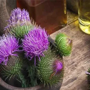 Untitled-2-Recovered-Recovered-Recovered-Recovered-Recovered-Recovered-Recovered-Recovered-Recovered-Recovered-Reاتاcovered-Recovered-Recovered-Recovered