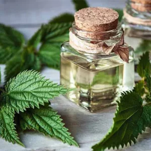 Untitled-2-Recovered-Recovered-Recovered-Recovered-Recovered-Recovered-Recovered-Recovered-Recovered-Recovereاd-Recovered-Recovered-Recovered-Recovered