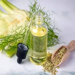 Untitled-2-Recovered-Recovered-Recovered-Recovered-Recovered-Recovered-Recovered-Recovered-Recovered-Recovقفered-Recovered-Recovered-Recovered-Recovered