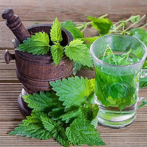 Untitled-2-Recovered-Recovered-Recovered-Recovered-Recovered-Recovered-Recovered-Recovered-Recovخهered-Recovered-Recovered-Recovered-Recovered-Recovered