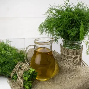 Untitled-2-Recovered-Recovered-Recovered-Recovered-Recovered-Recovered-Recovered-Recovered-Recovفvered