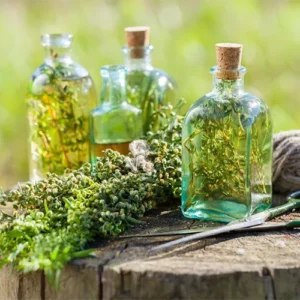 Untitled-2-Recovered-Recovered-Recovered-Recovered-Recovered-Recovشered-Recovered-Recovered-Recovered-Recovered-Recovered-Recovered-Recovered-Recovered