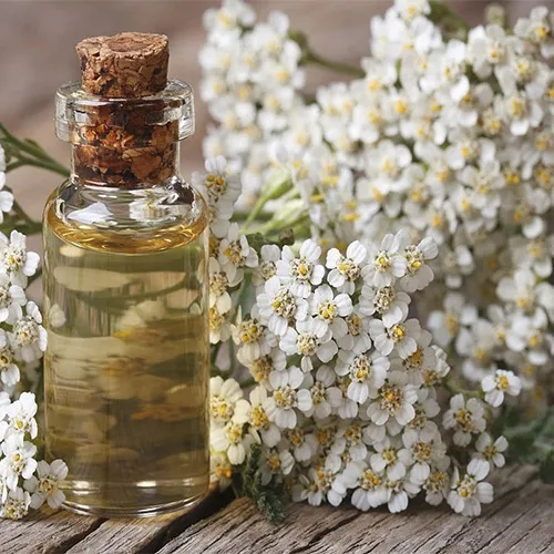 عرق بومادران برای چی خوبه